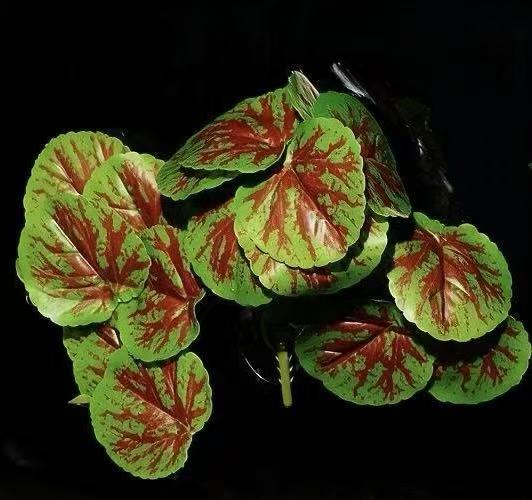 MODBOX Rainforest Habitat Kit