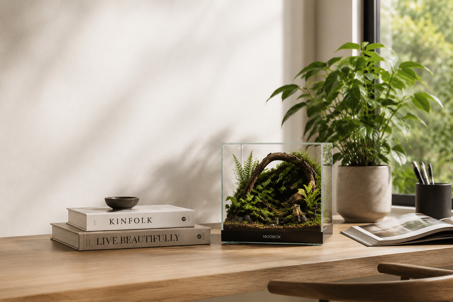 A Living Object for Modern Spaces