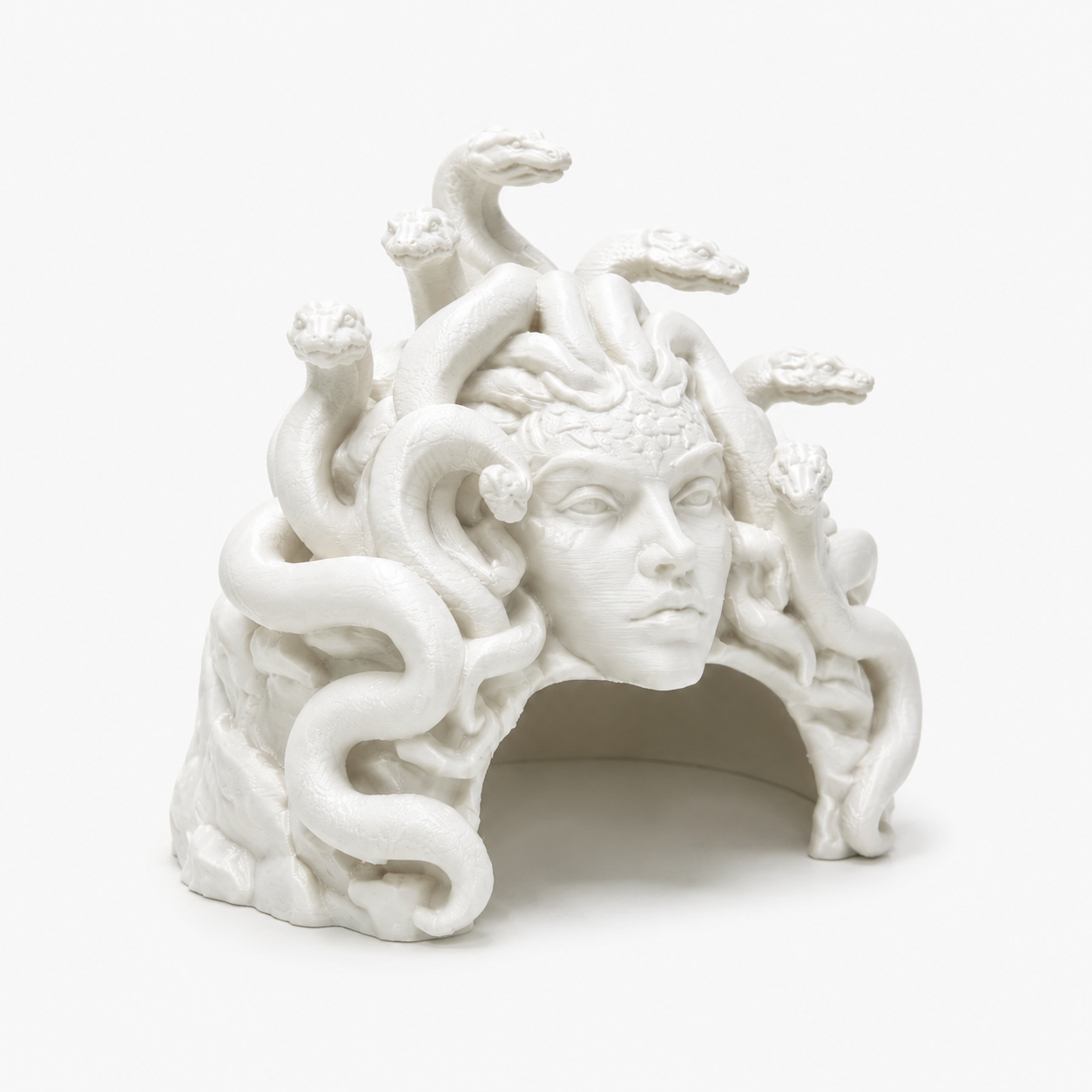 Medusa Sanctuary Hideout for Reptiles