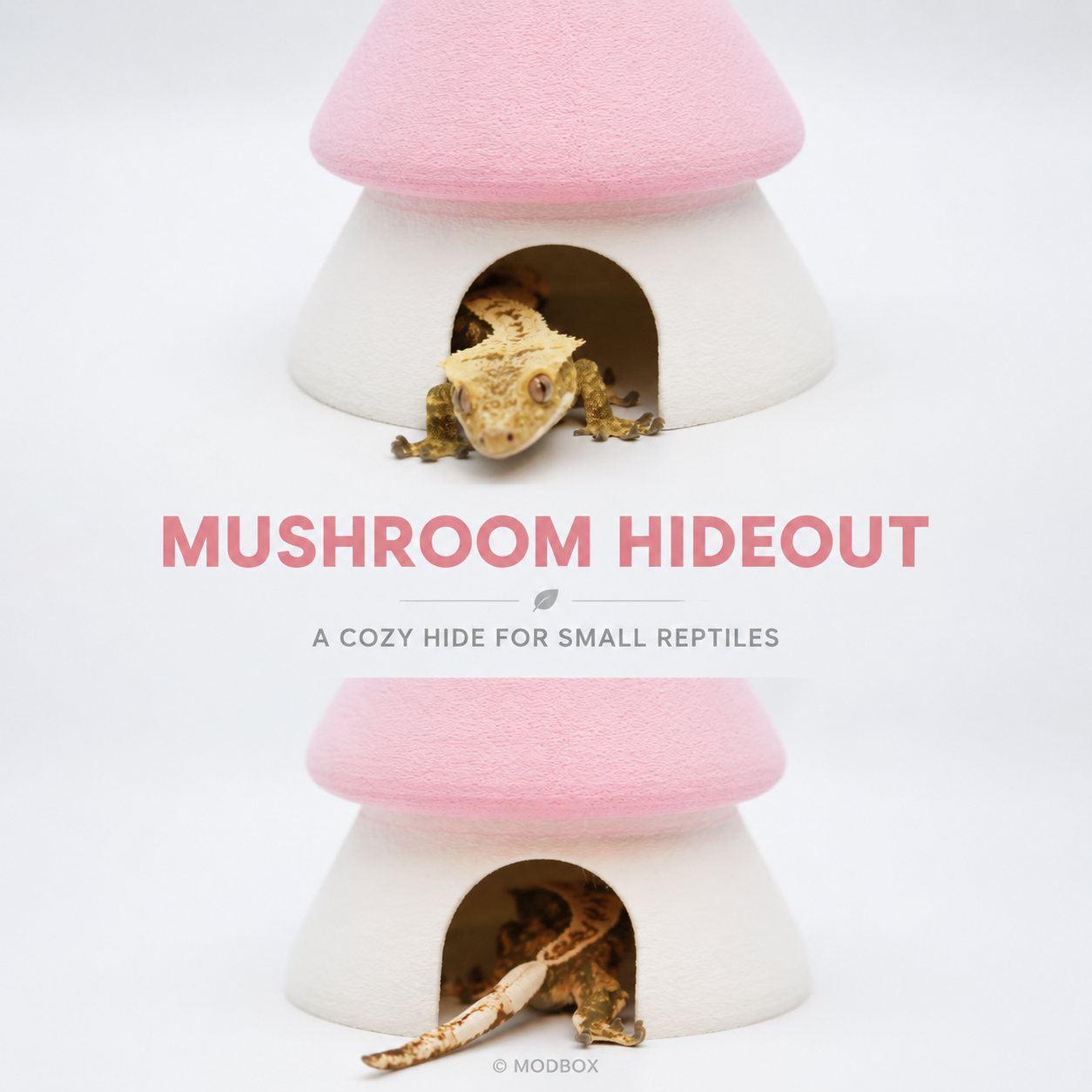 Mushroom Hideout – Reptile Shelter
