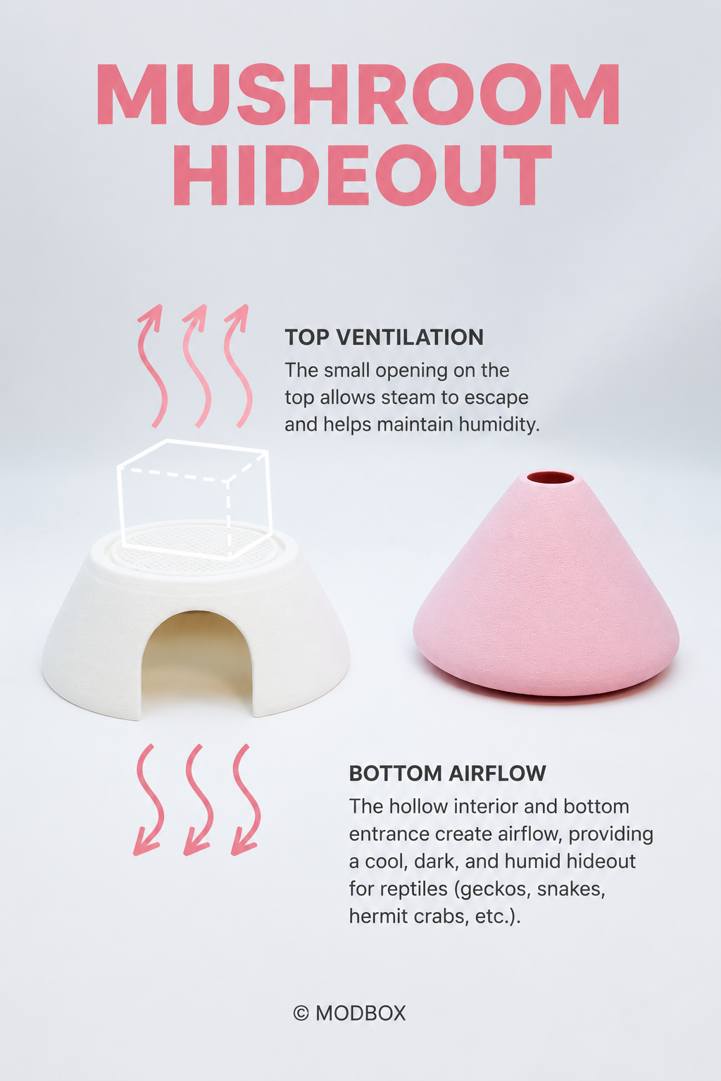Mushroom Hideout – Reptile Shelter