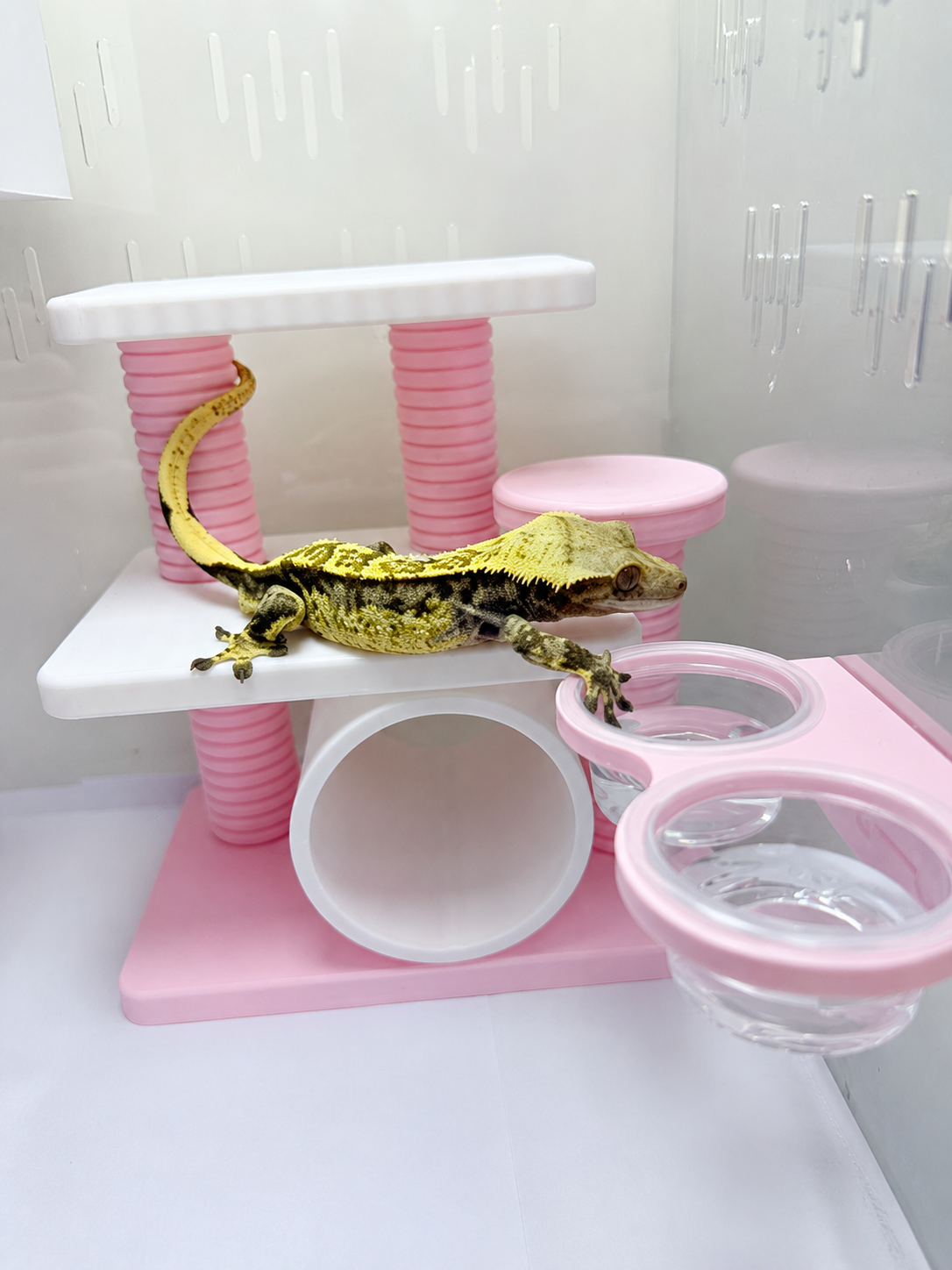 Pink Magnetic Double Water Bowl