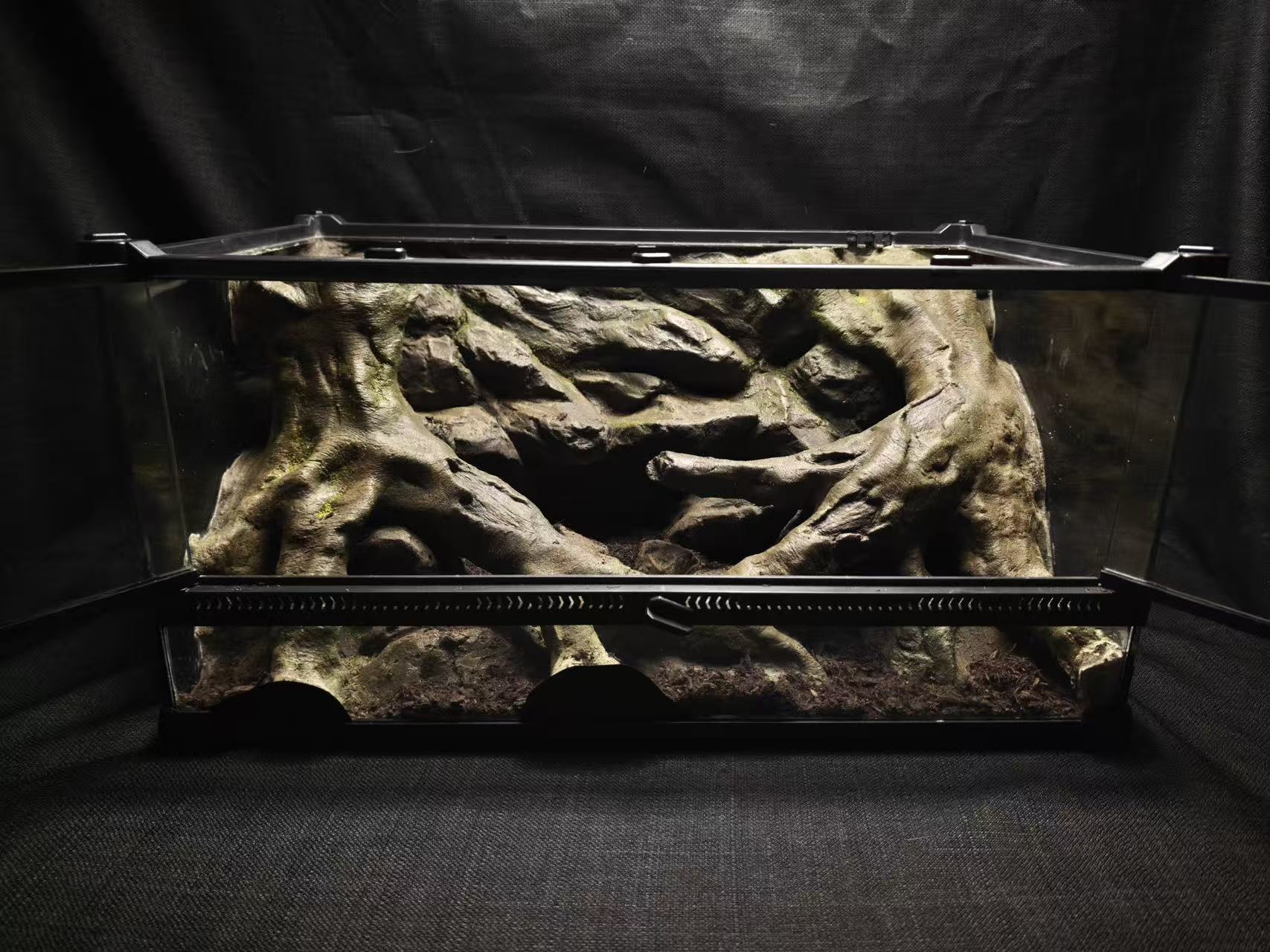 Forest Roots real terrarium reference build